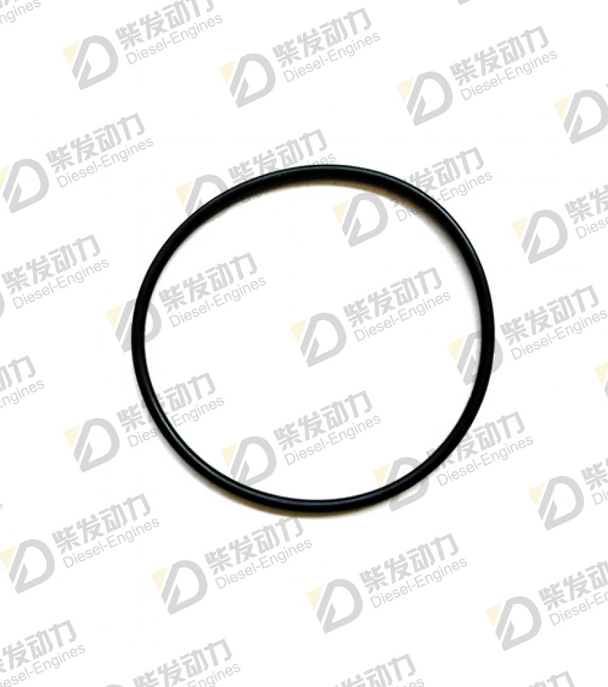 Sealing ring 20766211 